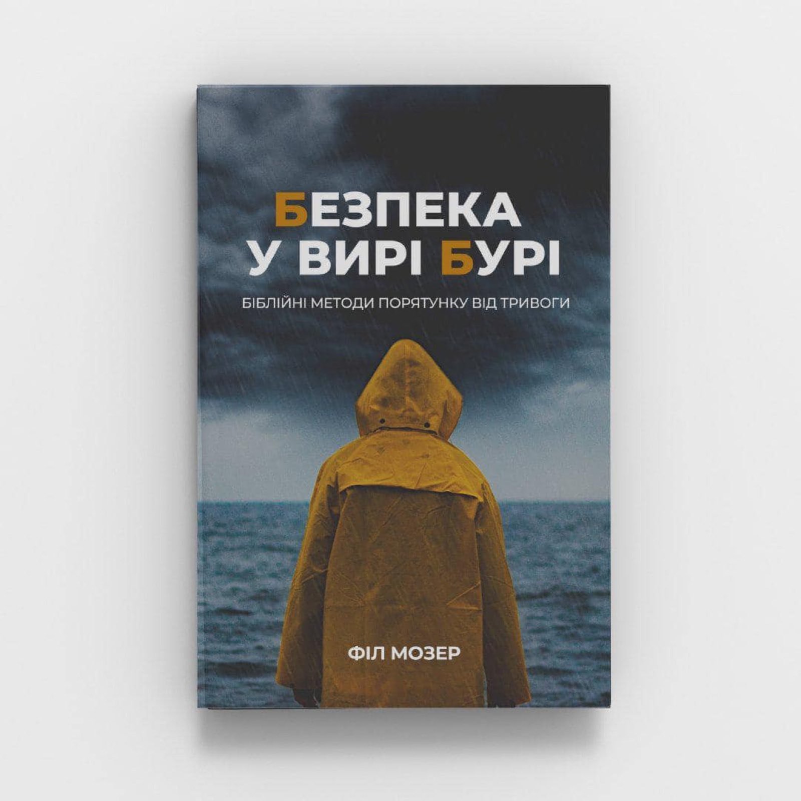 Обкладинка: Безпека у вирі бурі